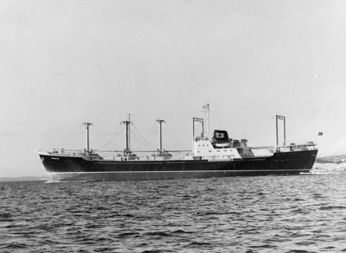 19590000-BN42-N0882-MS Fernwave.jpg