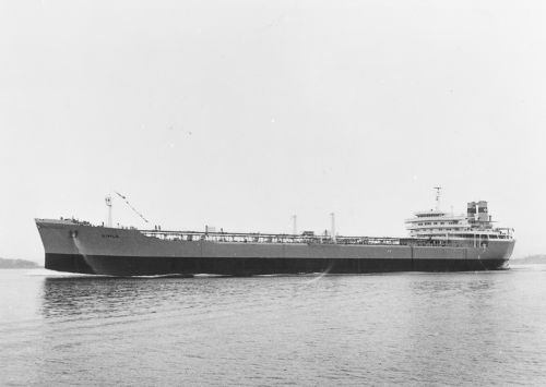 19650000-BN554-N0906-MT Gimle.jpg