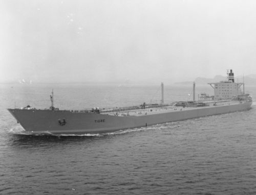 19740000-BN677-N0930-TT Tigre.jpg